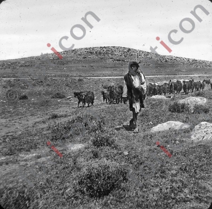 Hirte bei Bethlehem | Shepherd near Bethlehem (simon-101-013-sw.jpg)